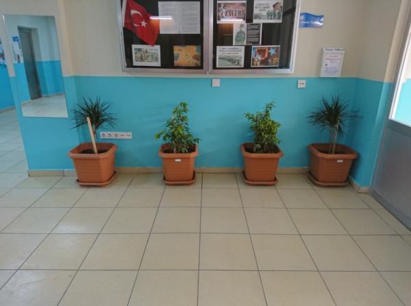 Okulumuzu İç Mekan Bitkileri ile Donattık